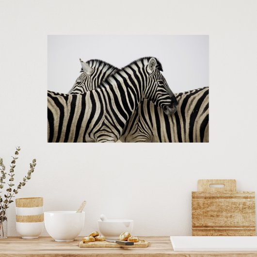 Zebras kop/staart poster (Keuken)