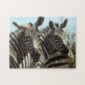 zebras legpuzzel (Horizontaal)