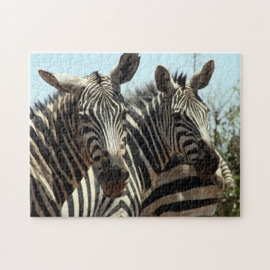 zebras legpuzzel (Horizontaal)