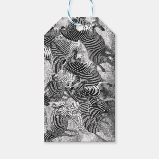 Zebras loopt cadeaulabel (Voorkant)