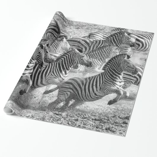 Zebras loopt cadeaupapier (Uitgerold)