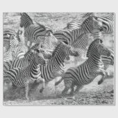 Zebras loopt cadeaupapier (Vlak)
