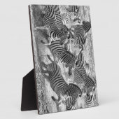 Zebras loopt fotoplaat (Zijkant)