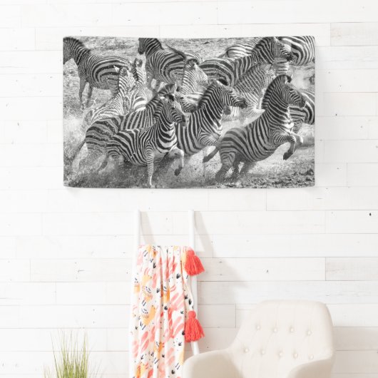 Zebras loopt spandoek (Insitu)