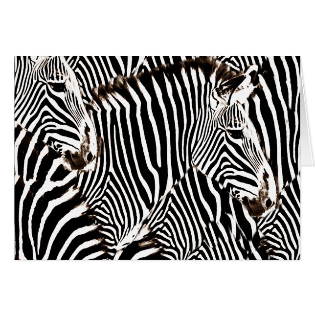 Zebras love_ (Voorkant Horizontaal)
