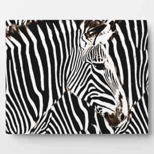 Zebras love_ fotoplaat