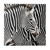 Zebras love_ tegeltje (Voorkant)