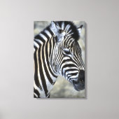 Zebras Lovers Art Canvas Afdruk (Voorkant)