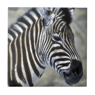 Zebras Lovers Art Tegeltje