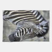 Zebras Lovers Art Theedoek (Horizontaal)