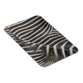 Zebras Magneet (Rechterzijde)