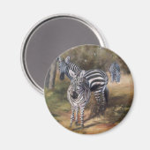 Zebras Magnet (Voorkant / Achterkant)