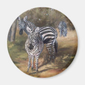 Zebras Magnet (Voorkant)