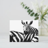 Zebras Modern Black&White Pop Art Afbeelding Sjabl Briefkaart (Staand voorkant)