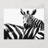 Zebras Modern Black&White Pop Art Afbeelding Sjabl Briefkaart (Voorkant)