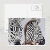 Zebras Moeder en Kind Briefkaart (Voorkant / Achterkant)