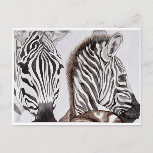 Zebras Moeder en Kind Briefkaart (Voorkant)