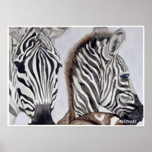 Zebras Moeder en Kind Poster