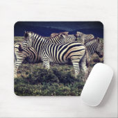 Zebras Muismat (Met muis)