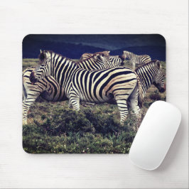 Zebras Muismat