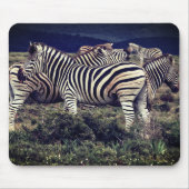 Zebras Muismat (Voorkant)