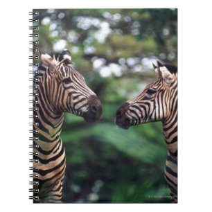 zebras notitieboek