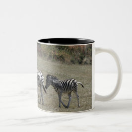 Zebras on the Move Mok