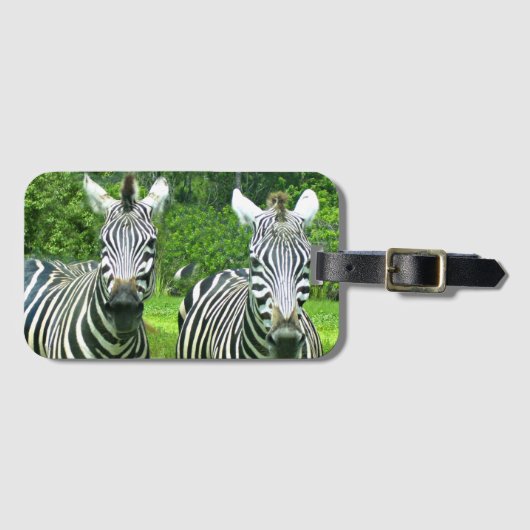 Zebra's op het pad in de weide bagagelabel (Voorkant (horizontaal))