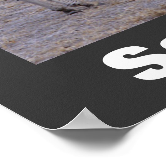 Zebras Photo Save Our Wildlife Poster (Hoek)