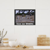 Zebras Photo Save Our Wildlife Poster (Keuken)