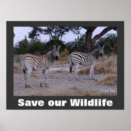 Zebras Photo Save Our Wildlife Poster