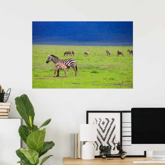 Zebras Poster (Thuiskantoor)