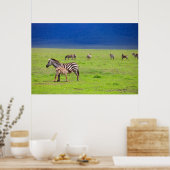 Zebras Poster (Keuken)