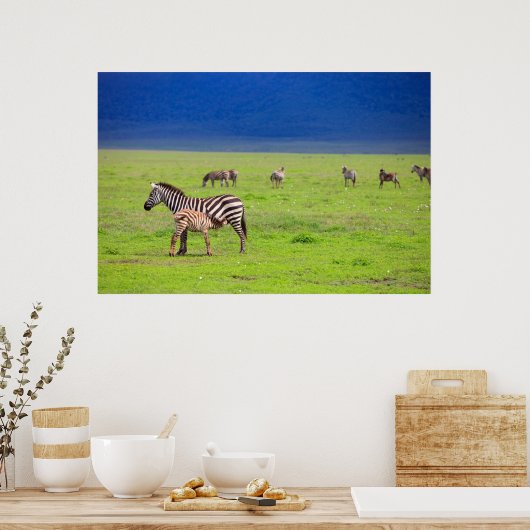 Zebras Poster (Keuken)