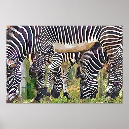ZEBRAS POSTER (Voorkant)