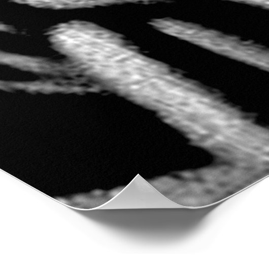 Zebras Reprint Poster (Hoek)