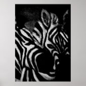 Zebras Reprint Poster (Voorkant)