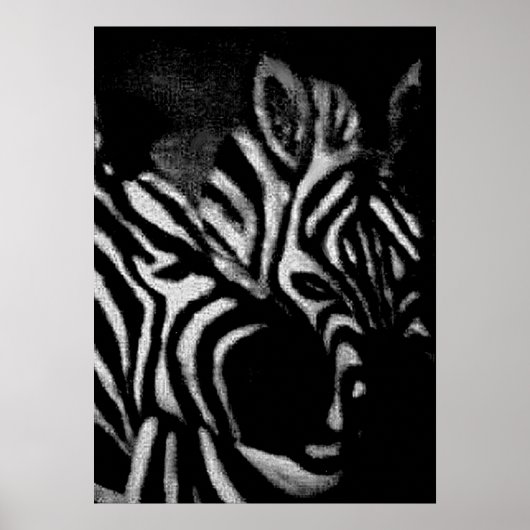 Zebras Reprint Poster (Voorkant)