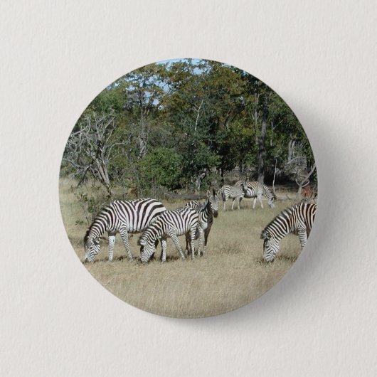 Zebras Ronde Button 5,7 Cm (Voorkant)
