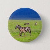 Zebras Ronde Button 5,7 Cm (Voorkant)