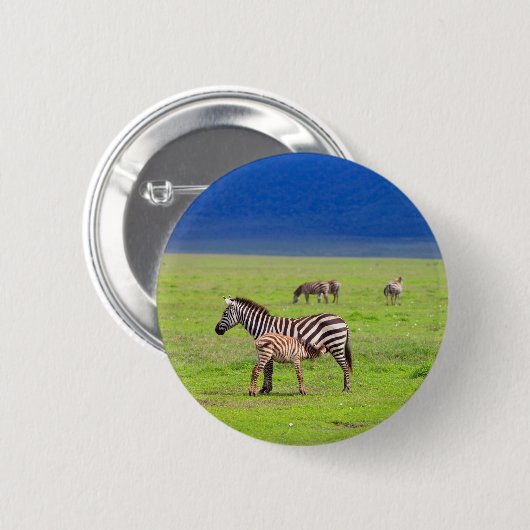Zebras Ronde Button 5,7 Cm (Voorkant /achterkant)