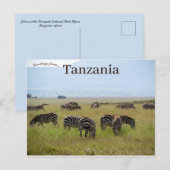 Zebras Serengeti Nationaal Park Safari Tanzania Briefkaart (Voorkant / Achterkant)