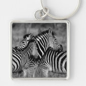Zebras Sleutelhanger (Voorkant)