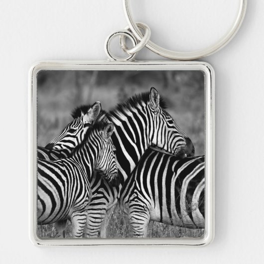 Zebras Sleutelhanger (Voorkant)