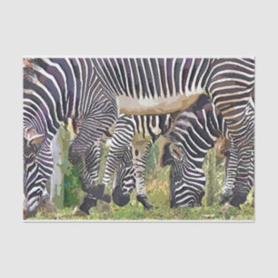 ZEBRAS TISSUEPAPIER