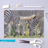 ZEBRAS TISSUEPAPIER (Craft)