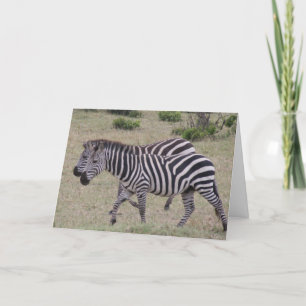 zebras voor altijd feestdagen kaart