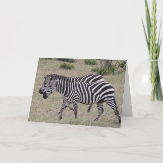 zebras voor altijd feestdagen kaart (Voorkant)