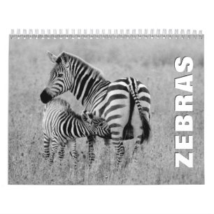 Zebras Wall Agenda Kalender