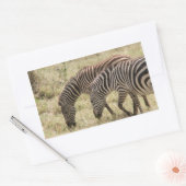 zebrasgras rechthoekige sticker (Envelop)